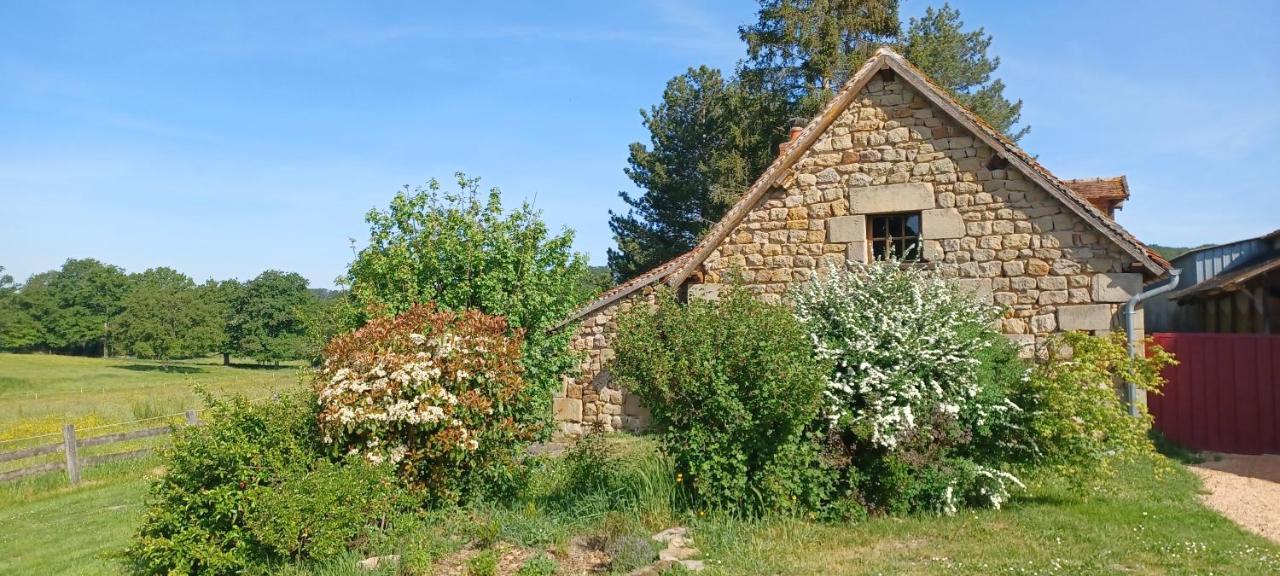Domaine De Reniere Vila Buxières-les-Mines Exterior foto